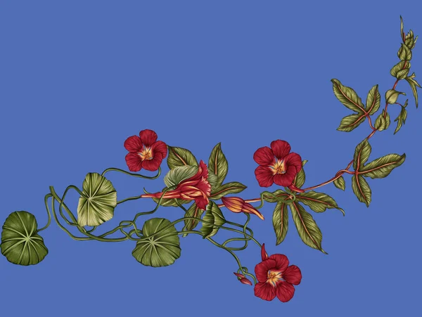 Unique Digital Traditional Geometric Ethnic Border Floral Leaves Baroque Pattern — Fotografie, imagine de stoc