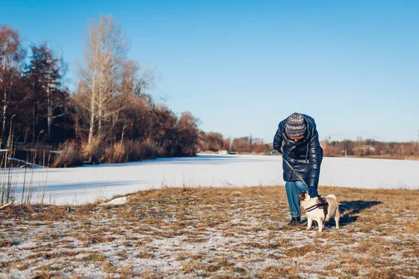 一个女人牵着皮带在雪地的冬季公园里遛狗 小狗戴着安全带 季节性户外活动 — 图库照片