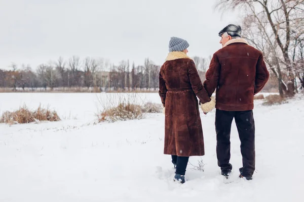 Vista Trasera Pareja Ancianos Caminando Aire Libre Durante Clima Invernal —  Fotos de Stock