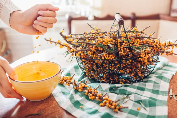 Woman Stripping Sea Buckthorn Berries Branches Home Puts Bowl Healthy — Stock Photo, Image