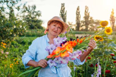 Portrait of happy gardener holding fresh gladiolus flowers harvested in summer garden. Senior woman picked blooms grown organically