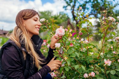 Genç bahçıvan yaz bahçesinde çiçek açmaktan hoşlanıyor. Kadın İngiliz James Galway kokusu alıyor. Saplarını kesmek için pembe gül tutacağı.
