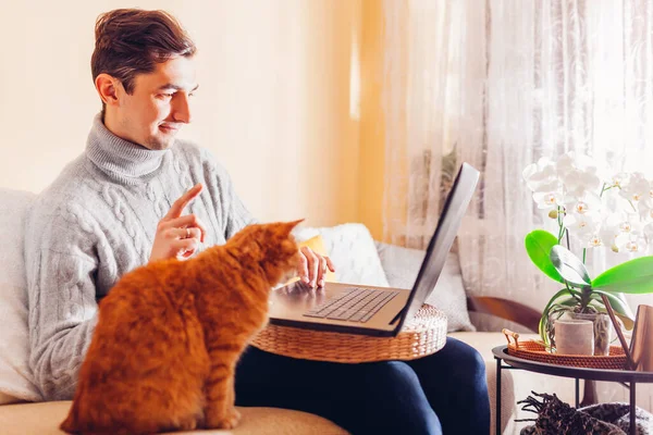 Working online from home with pet using computer. Man typing on laptop while ginger cat looking at screen. Freelance remote job