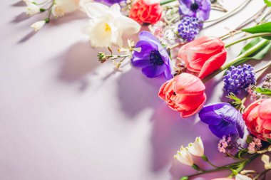 Pembe, mavi ve beyaz bahar çiçekleri arka planı. Laleler, şakayıklar, nergisler çiçek açar. Anneler günü kartı. Üst Manzara. Boşluk