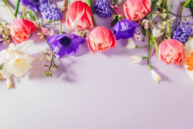 Anneler günü için maket. Pembe, mavi ve beyaz bahar çiçekleri arka planı. Laleler nergisler çiçek açar. Üst Manzara. Boşluk