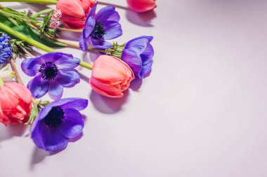 Pembe, mavi ve beyaz bahar çiçekleri arka planı. Laleler, şakayıklar, nergisler çiçek açar. Anneler günü kartı. Üst Manzara. Boşluk