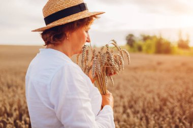 Sad senior woman holding wheat bunch in summer field at sunset. Harvest in Ukraine. Agriculture and farming. Ukrainian symbol