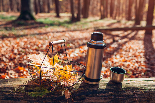Close up of thermos and cup of warm tea left on trunk in autumn forest by basket with yellow maple leaves. Fall vibes. Hot drink during walk in woods
