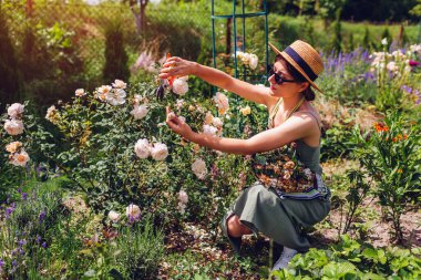 Genç bir kadın yaz bahçesinde bitkin düşmüş güller açıyor. Bahçıvan solmuş çiçekleri budama makinesiyle kesip sepete koyar. İngiliz kır evi bahçesi