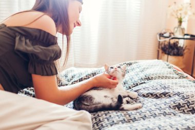 Genç bir kadın, beyaz ve gri kedisiyle evdeki kanepede oynuyor. Sahibi boynunun altındaki evcil hayvanı tırmalıyor. Hayvanlar eğleniyor.