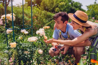Mutlu genç çift yaz bahçesinde çiçeklerin tadını çıkarıyor. Bahçıvanlar gül bahçesinde önlük takan bitkileri kontrol ediyorlar.