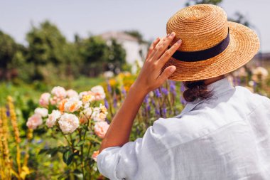Hasır şapkalı kadın bahçıvanın yaz bahçesinde gül çiçeklerinin tadını çıkardığı arka manzara. Manzara hayranlık verici.