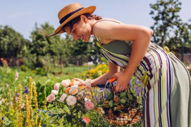 Yaz bahçesinde harcanmış gül çiçeklerinin boş kafalı kadın portresi. Bahçıvan solmuş çiçek ve budanmış budama sepetini tutuyor. Bitkilerle ilgileniyorum.