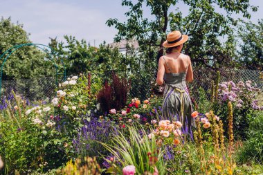 Hasır şapkalı kadın bahçıvan yaz bahçesinde çiçeklere hayran geziyor. Bitkiler kontrol ediliyor
