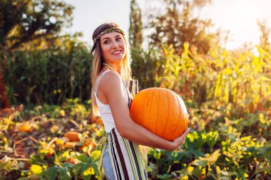 Balkabağı hasadı. Mutlu genç çiftçi kadın çiftlikte sonbahar sebze hasadı topluyor. Mutlu işçi gün batımında tarlada büyük bir balkabağı tutuyor. Tarım