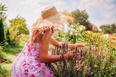 Arka planda, yaz bahçesinde pembe çiçekleri kontrol eden bir kadın var. Hasır şapka takan bahçıvan otları topluyor.