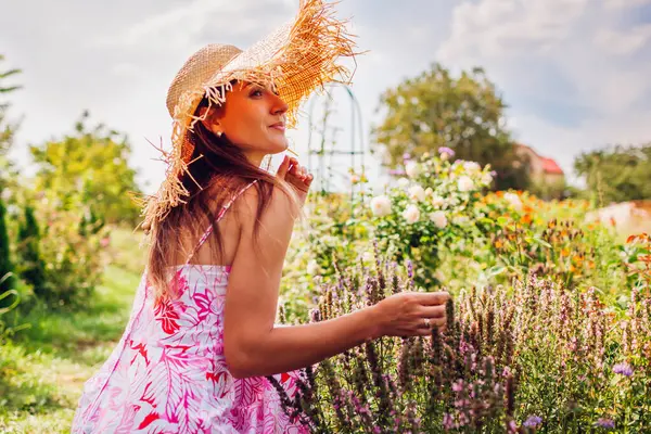 Yaz bahçesinde pembe çiçekleri kontrol eden bir kadının portresi. Bahçıvan hasır şapka takıp çiçek tarhında ot topluyor.