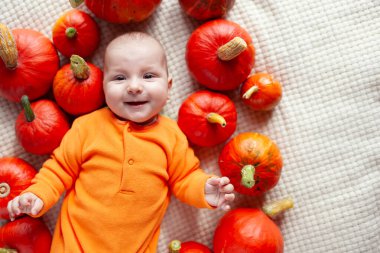 Cadılar Bayramı. Küçük balkabaklarıyla kaplı battaniyenin üzerinde yatan mutlu bir bebek. Bebeğim turuncu sonbahar kıyafeti giyiyor. Sonbahar tatili. Copt alanı