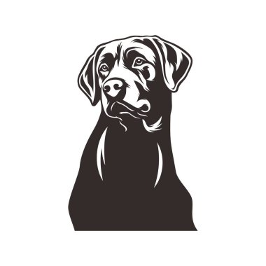 Labrador köpek avı illüstrasyon logo vektör resmi tişörtü