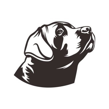 Labrador köpek avı illüstrasyon logo vektör resmi tişörtü