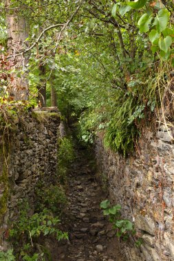 Her iki tarafında ağaçlar ve taneler olan eski taş duvarlar arasında dar bir yol var.
