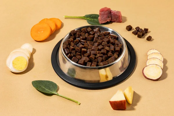 Creative Concept Photo Healthy Pet Dog Food Treats — Stock Photo, Image