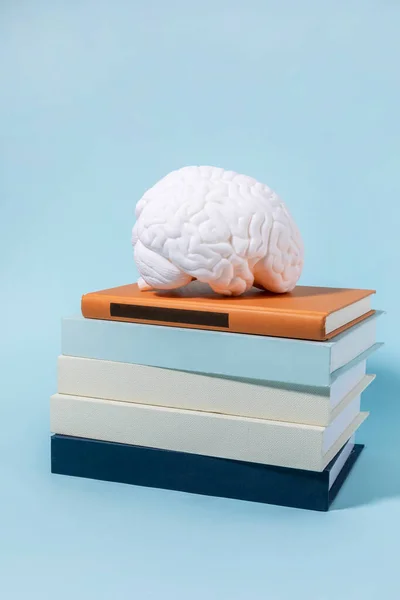 脳の健康と認知症のシリーズ本や脳のミニチュアを積み上げ — ストック写真