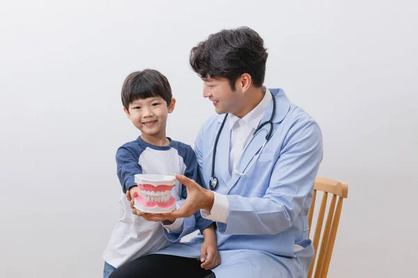Asiatico Coreano Medici Bambino Holding Miniature Denti — Foto Stock