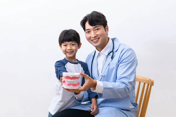 Asian Korean doctors and child holding miniatures of teeth