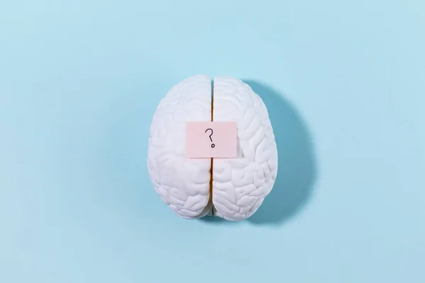 brain health and dementia series, a brain miniature with a question mark on it