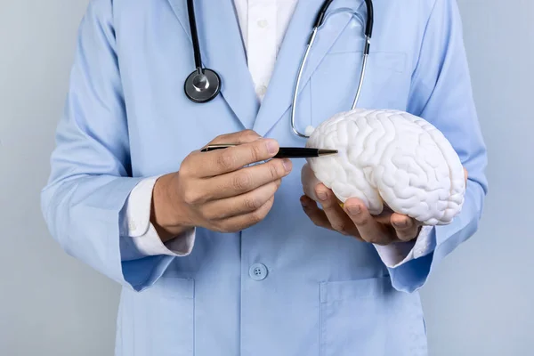 Saúde Cerebral Séries Demência Explicar Segurando Miniatura Cérebro — Fotografia de Stock