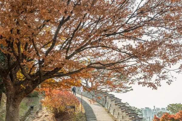 Herfst Landschap Landschap Van Suwon Hwaseong Korea — Stockfoto