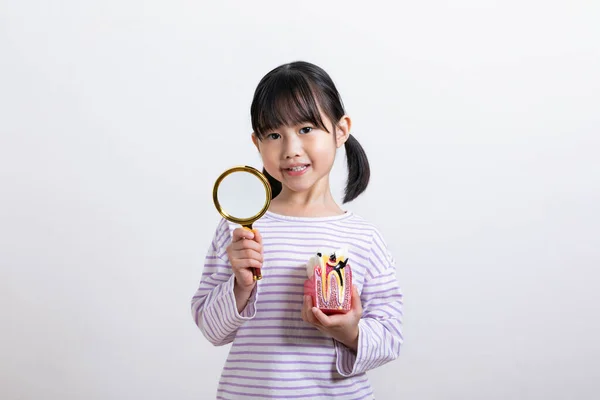 Азиатский Корейский Ребенок Увеличительным Стеклом Зубной Миниатюрой — стоковое фото