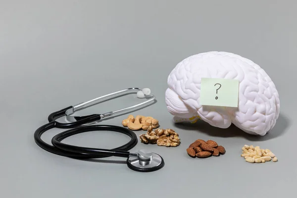 Série Demência Saúde Cérebro Miniatura Cérebro Estetoscópio Nozes — Fotografia de Stock