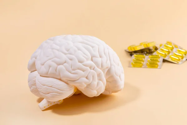脳の健康と認知症のシリーズ脳のミニチュアとオメガ3 — ストック写真
