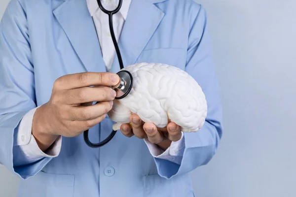 Série Demência Saúde Cerebral Examinar Modelo Cerebral Com Estetoscópio — Fotografia de Stock