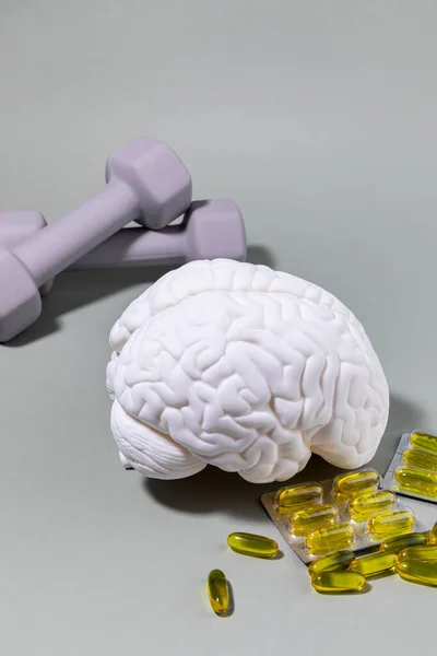 Gehirngesundheit Und Demenzserie Gehirn Miniatur Und Omega Hantel — Stockfoto