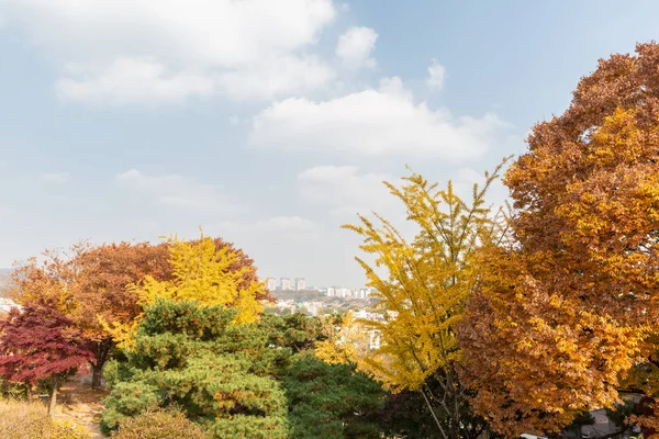 Autumn Landscape Scenery Suwon Hwaseong Korea — Stock Photo, Image