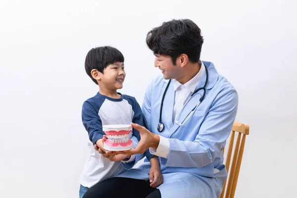 Asian Korean doctors and child holding miniatures of teeth