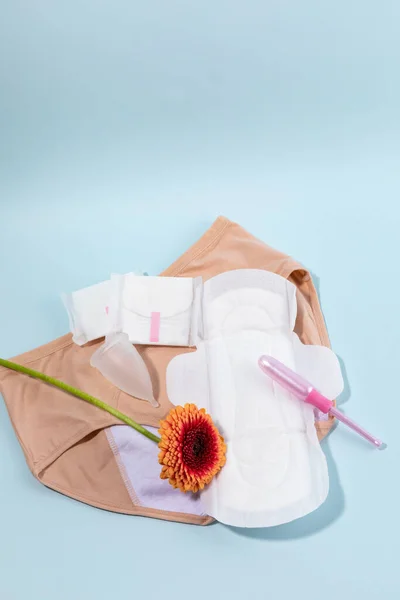 Mulher Produtos Menstruais Roupa Interior Menstrual Suprimentos Menstruais — Fotografia de Stock