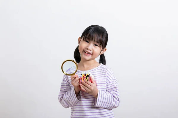 Asijské Korejské Dítě Lupou Zubní Miniaturou — Stock fotografie