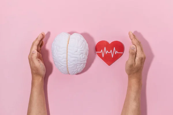 Hersenen Gezondheid Dementie Serie Verklaren Met Behoud Van Hersenen Miniatuur — Stockfoto