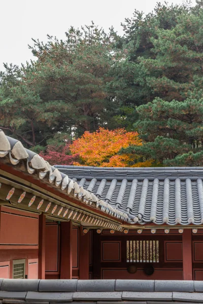 Jesienny Krajobraz Krajobraz Suwon Hwaseong Korei — Zdjęcie stockowe