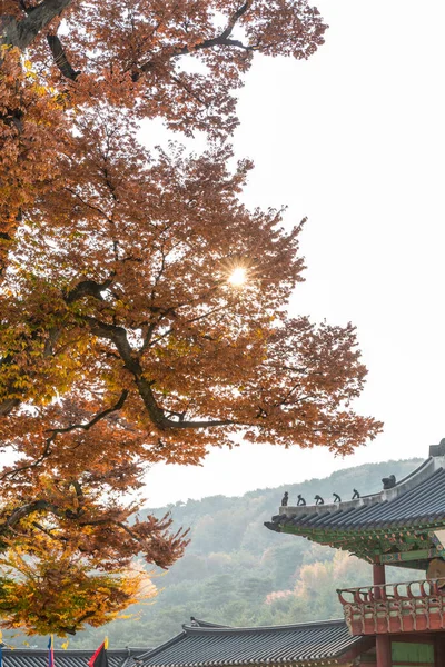 Восени Ландшафт Краєвид Сувон Хвасон Кореї — стокове фото