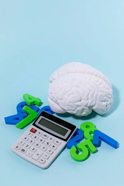 Gehirngesundheit Und Demenzreihen Gehirn Miniaturen Und Zahlen Und Taschenrechner — Stockfoto