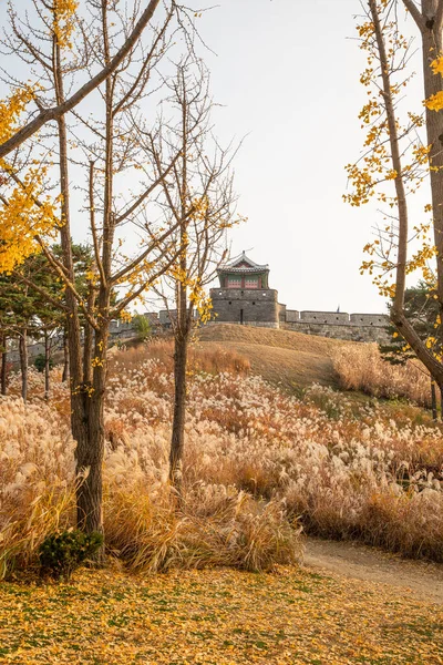 Stock image autumn landscape, scenery of Suwon Hwaseong in Korea