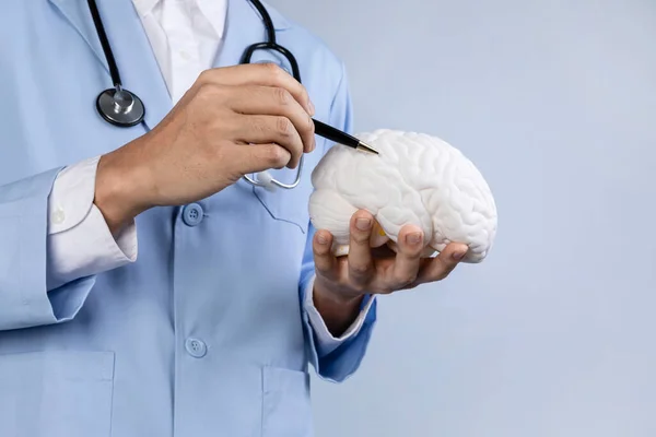 Saúde Cerebral Séries Demência Explicar Segurando Miniatura Cérebro — Fotografia de Stock