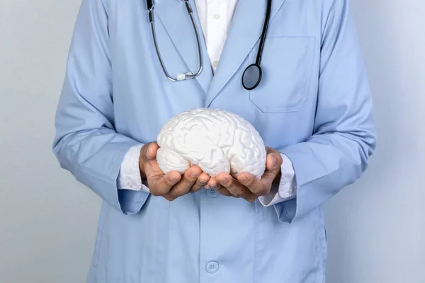 Série Demência Saúde Cerebral Médico Com Uma Miniatura Cerebral — Fotografia de Stock