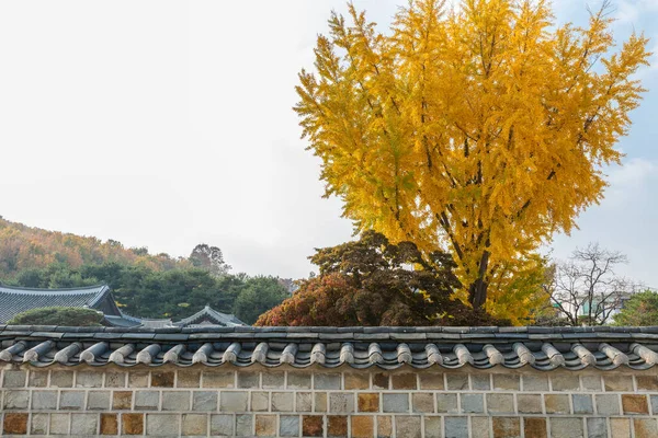 Sonbahar Manzarası Suwon Hwaseong Kore Manzarası — Stok fotoğraf