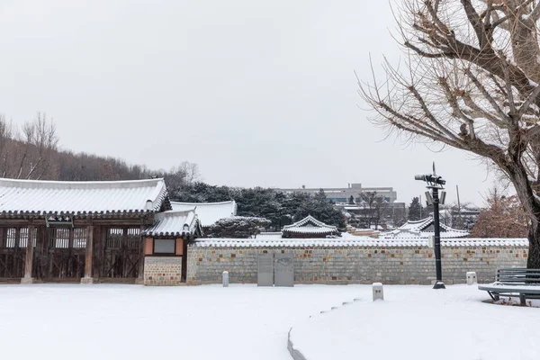 Красивые Зимние Снежные Пейзажи Сувон Хвасон Хэнггун Корее — стоковое фото
